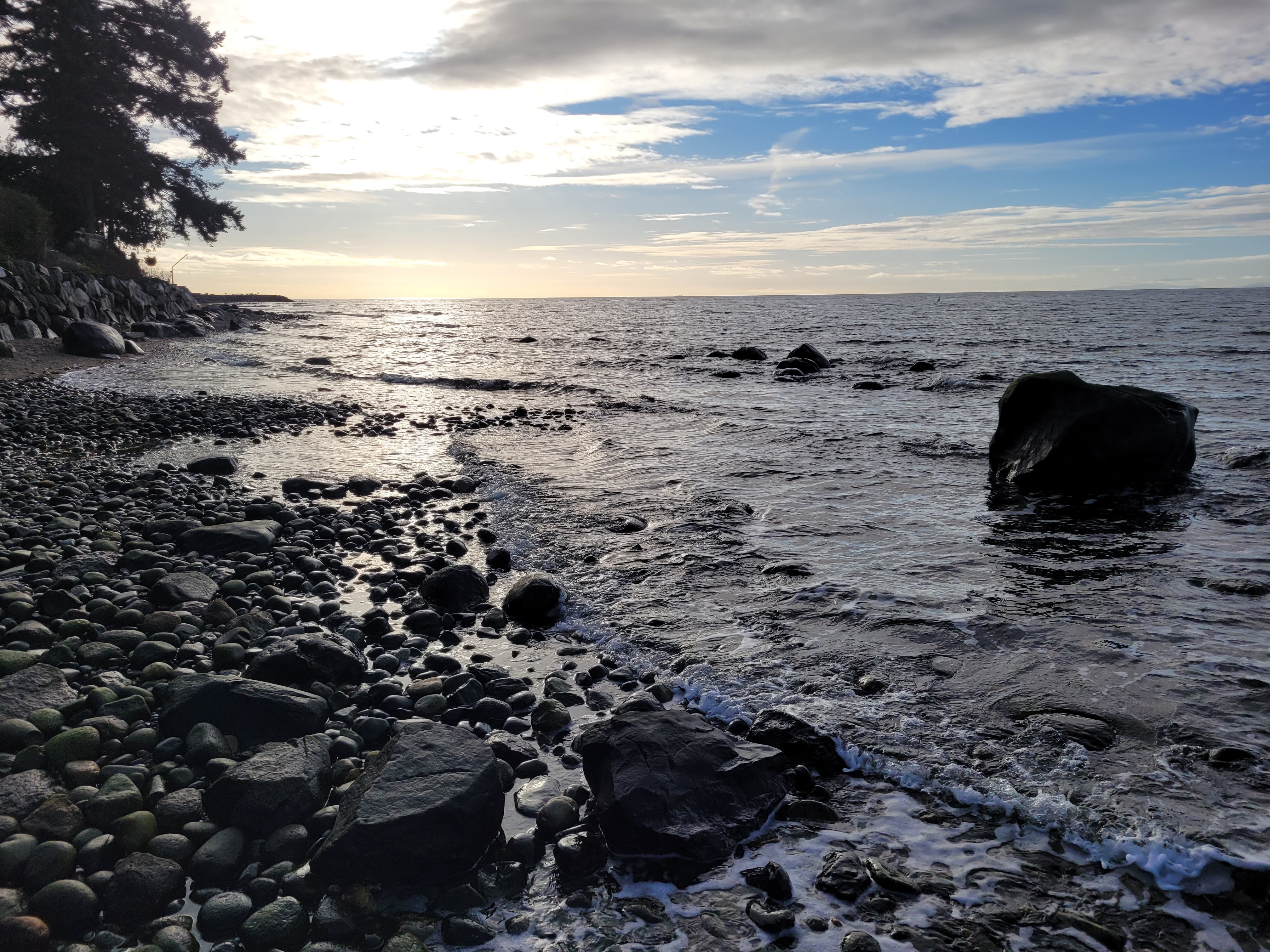 Rainforest Writing Retreat 2026