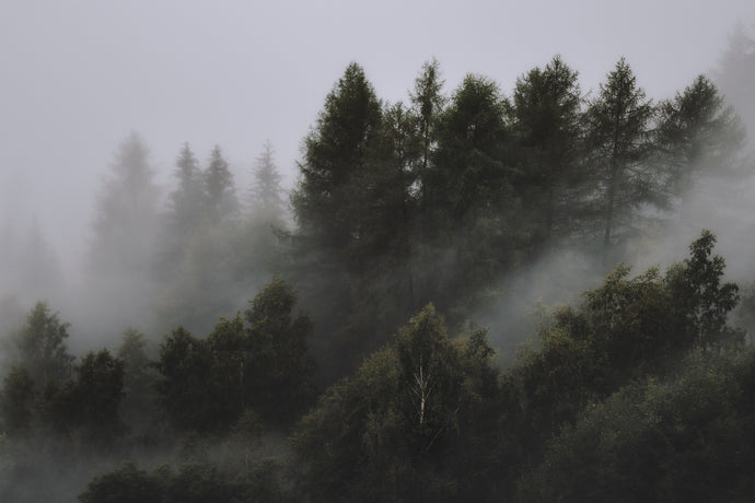 First Page Challenge, 1st place winner: "Cloudland"