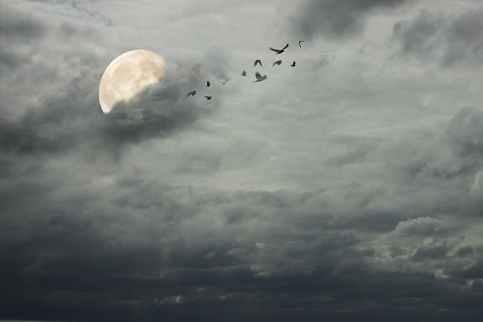 Writing Retreat: It was a dark and stormy night...