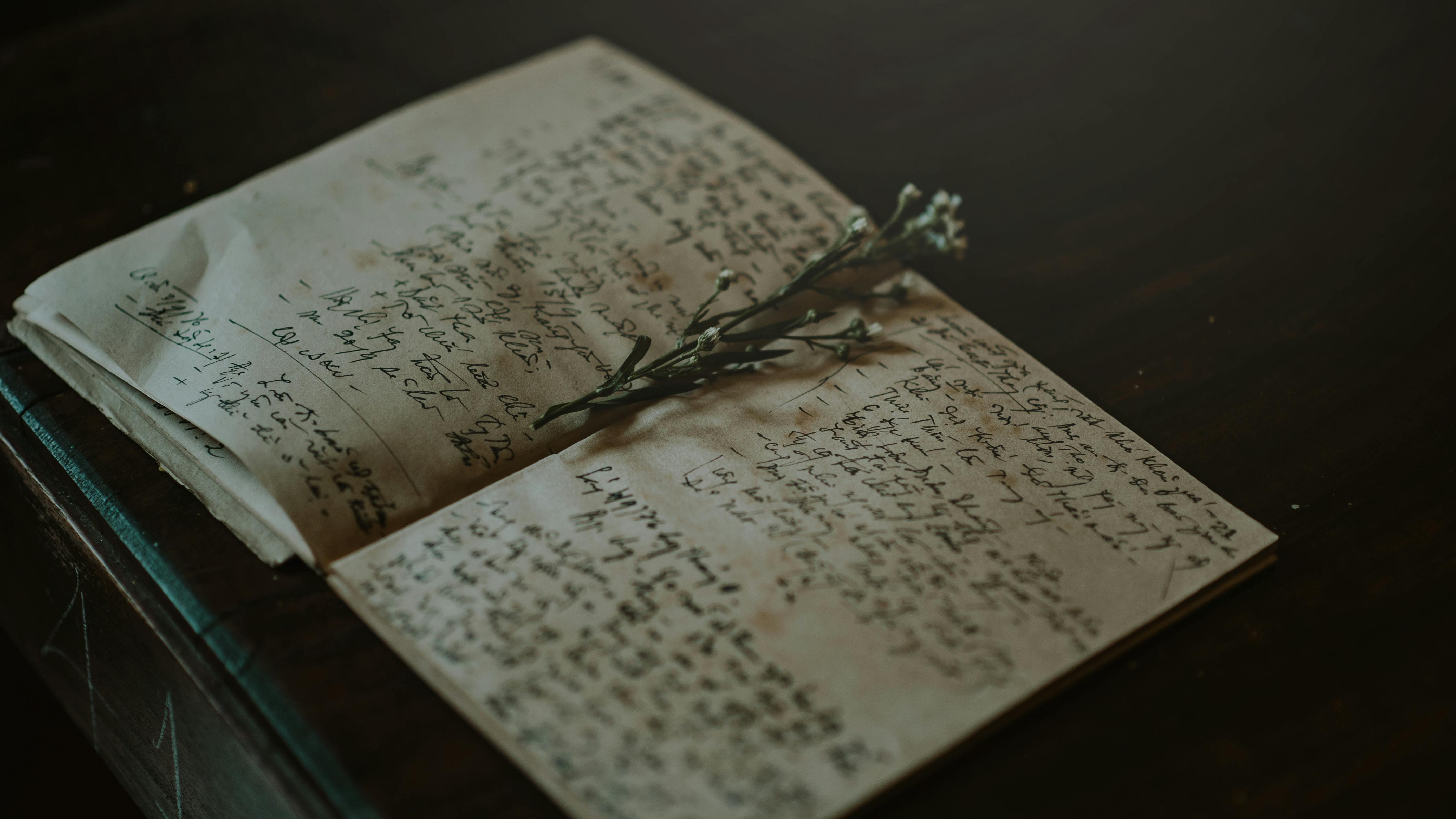 Story Skeleton—Gone Girl
