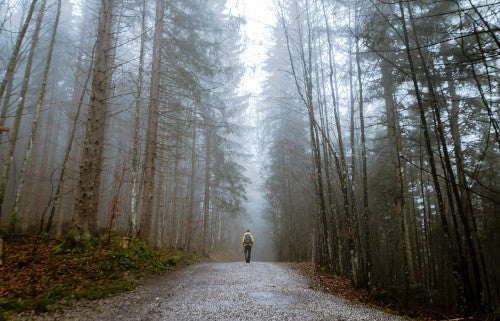 How to outline a novel in five steps