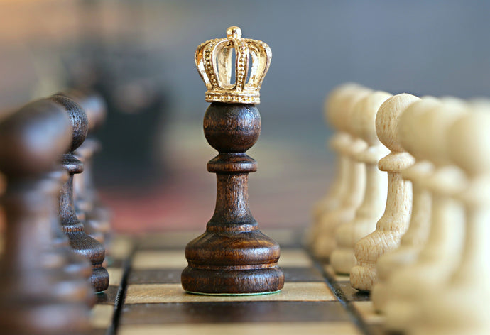 Query Quest: a self-paced course for querying authors