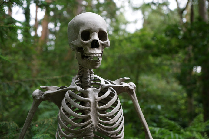 Story skeleton: a plot primer
