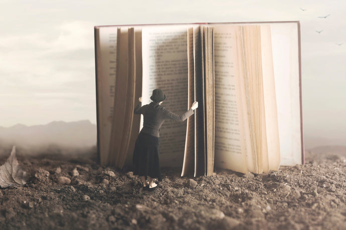 Word Count Wars: How Long Should Your Novel Really Be?